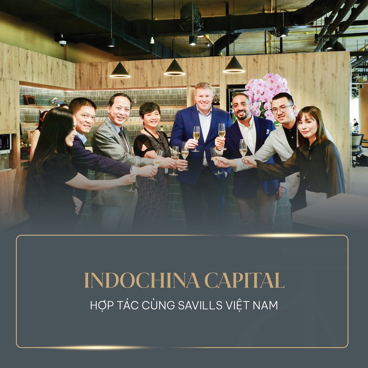 Đơn vị vận hành dự án The Nelson